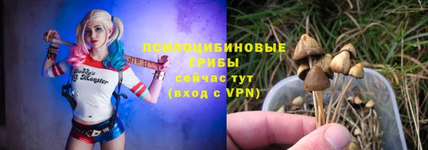 дмт Заволжье