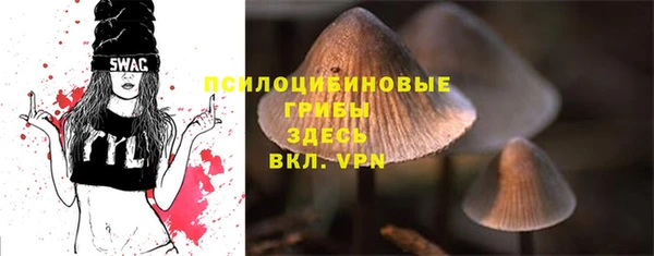 Альфа ПВП Зерноград