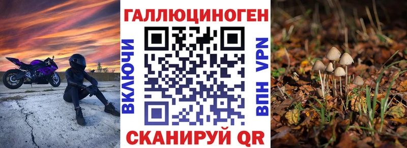 Псилоцибиновые грибы Psilocybine cubensis Киреевск
