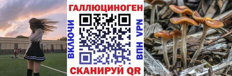 Купить закладки  Киреевск  Галлюциногенные грибы Cubensis 